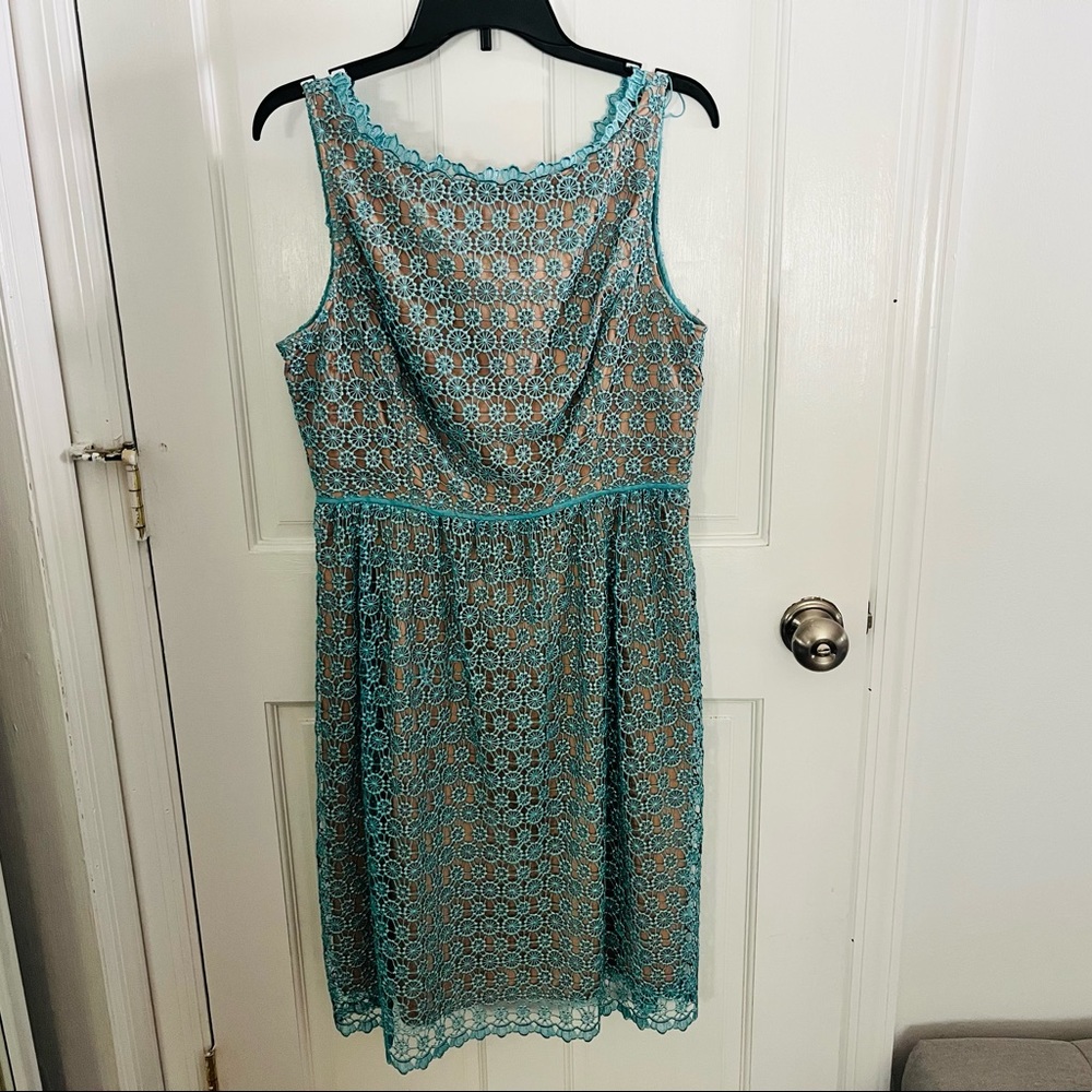 Stunning Adrianna Papell dress